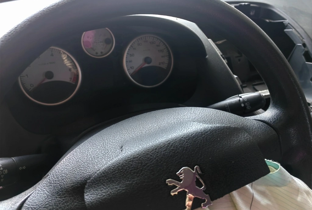 Peugeot 206 Plus 1.4i снимка 6